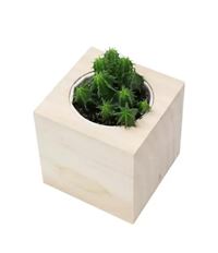 CUBO IN LEGNO CON PIANTA MADE IN ITALY